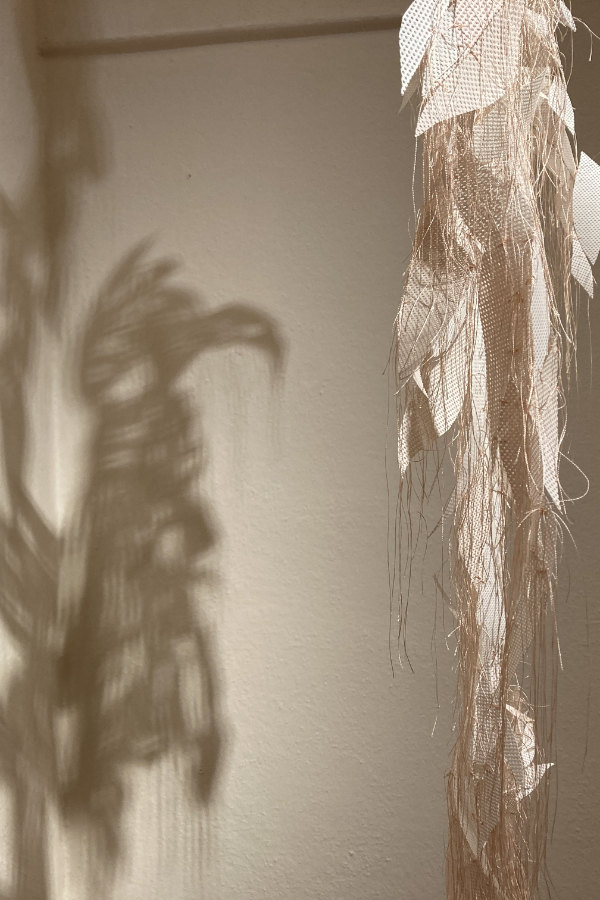 KüGi_Donaueschingen_25_01