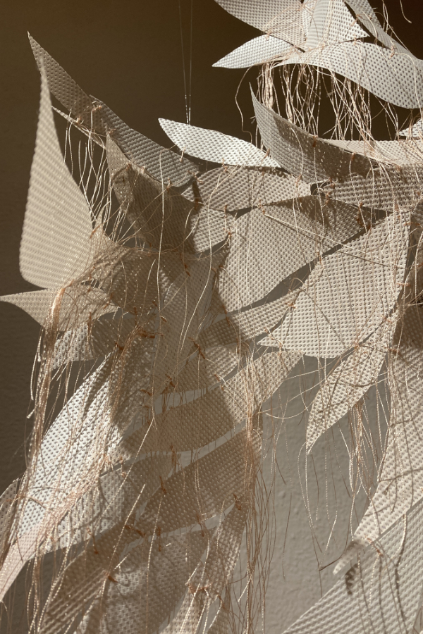 KüGi_Donaueschingen_25_02